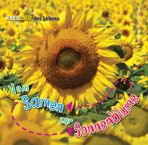 Buchcover Vom Samen zur Sonnenblume | Camilla de la Bédoyère | EAN 9789461754257 | ISBN 94-6175-425-6 | ISBN 978-94-6175-425-7