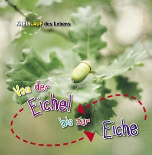 Buchcover Von der Eichel bis zur Eiche | Camilla de la Bédoyère | EAN 9789461754264 | ISBN 94-6175-426-4 | ISBN 978-94-6175-426-4