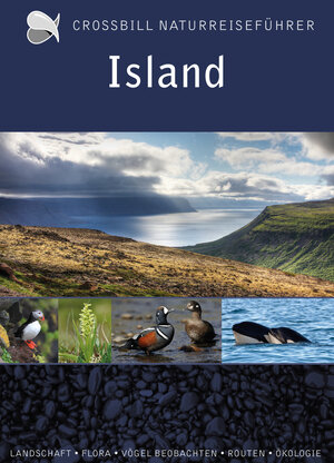 Buchcover Island | Dirk Hilbers | EAN 9789491648281 | ISBN 94-91648-28-4 | ISBN 978-94-91648-28-1