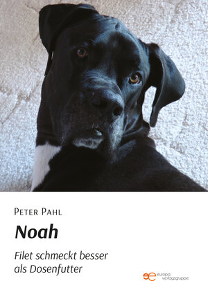 Buchcover NOAH | Peter Pahl | EAN 9791220118187 | ISBN 979-12-2011818-7 | ISBN 979-12-2011818-7