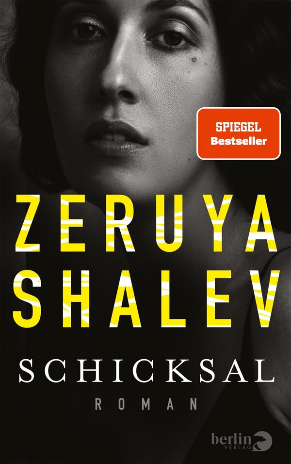 Schicksal Zeruya Shalev Hardcover ISBN 9783827011862