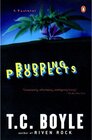 Buchcover Budding Prospects. T. C. Boyle