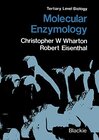 Buchcover Molecular Enzymology (Tertiary Level Biology)