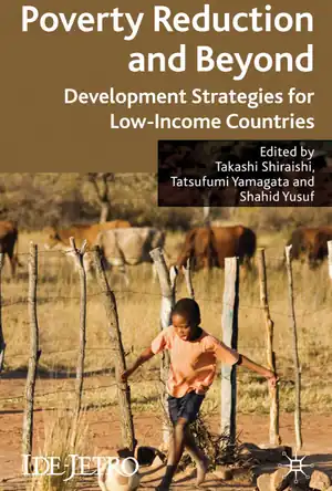 Buchcover ISBN 9780230219946