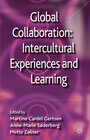 Buchcover Global Collaboration: Intercultural Experiences and Learning