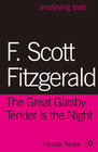 Buchcover F. Scott Fitzgerald: The Great Gatsby/Tender is the Night