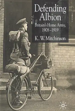 Buchcover ISBN 9780230512115