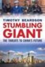 Buchcover Stumbling Giant