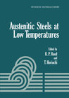 Buchcover Austenitic Steels at Low Temperatures