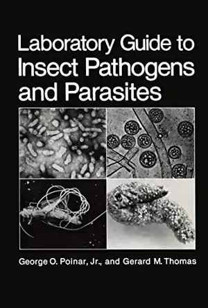 Buchcover ISBN 9780306416804