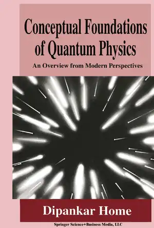 Buchcover ISBN 9780306456602