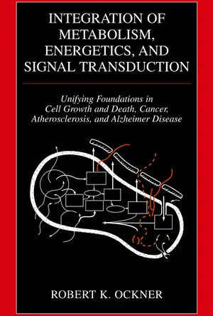 Buchcover ISBN 9780306484711