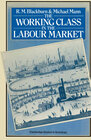 Buchcover The Working Class in the Labour Market