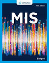 Buchcover MIS. Hossein Bidgoli