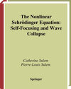 Buchcover The Nonlinear Schrödinger Equation