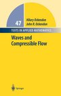 Buchcover Waves and Compressible Flow