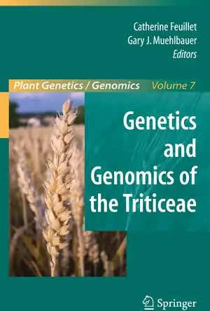 Buchcover ISBN 9780387774893