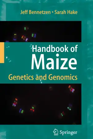 Buchcover ISBN 9780387778624