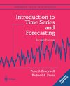 Buchcover Introduction to Time Series and Forecasting