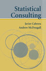 Buchcover Statistical Consulting