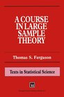 Buchcover A Course in Large Sample Theory
