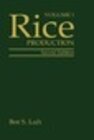 Buchcover Rice, Volume 1: Production