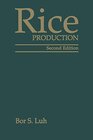 Buchcover Rice: Volume I. Production