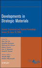 Buchcover Developments in Strategic Materials, Volume 29, Issue 10