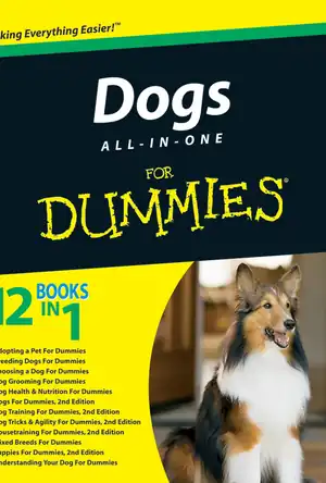 Buchcover ISBN 9780470635940