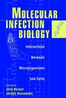 Buchcover Molecular Infection Biology