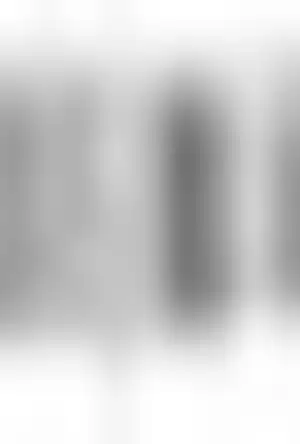 Buchcover ISBN 9780471367529