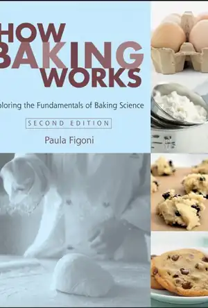 Buchcover ISBN 9780471747239