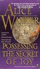 Buchcover Possessing the Secret of Joy