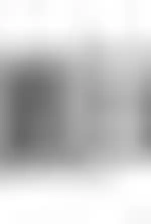 Buchcover ISBN 9780816906475