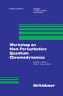 Buchcover Workshop on Non-Perturbative Quantum Chromodynamics