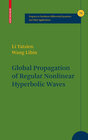 Buchcover Global Propagation of Regular Nonlinear Hyperbolic Waves