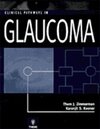 Buchcover Clinical Pathways in Glaucoma
