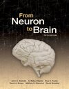 Buchcover From Neuron to Brain