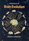 Buchcover Brain Evolution