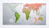 Buchcover Futuremap Version4 - Pine to Coral to Gold