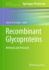 Buchcover Recombinant Glycoproteins