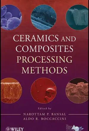 Buchcover ISBN 9781118176603