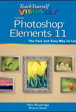 Buchcover ISBN 9781118362389