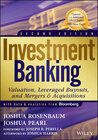Buchcover Investment Banking