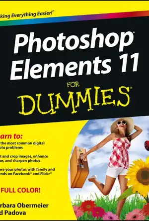 Buchcover ISBN 9781118462010