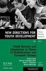 Buchcover Youth Success and Adaptation in Times of Globalization and Economic Change