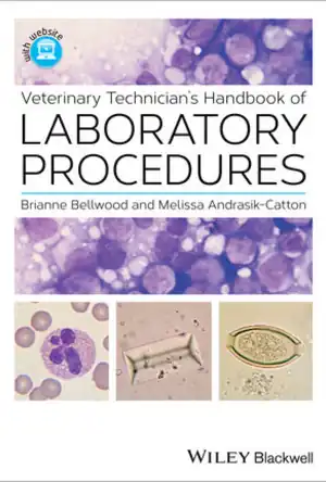 Buchcover ISBN 9781118726129