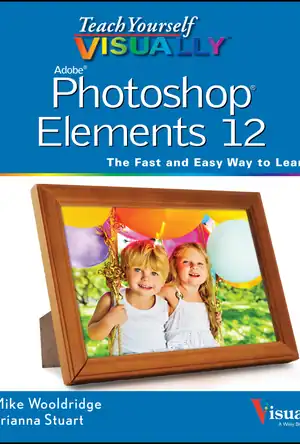 Buchcover ISBN 9781118729229