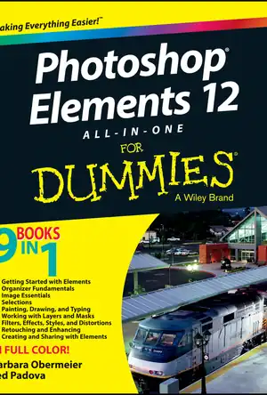 Buchcover ISBN 9781118753699