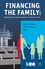 Buchcover Financing the Family